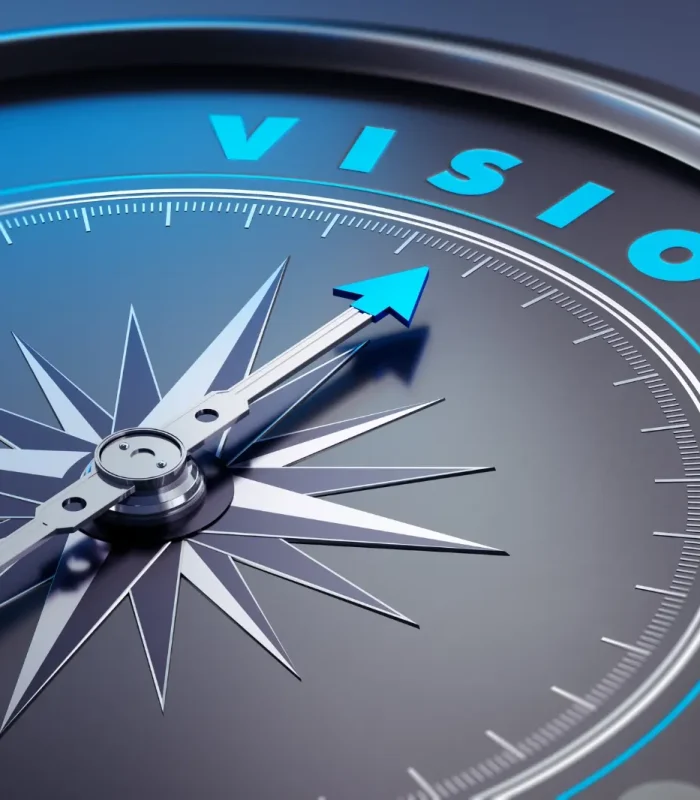 vision
